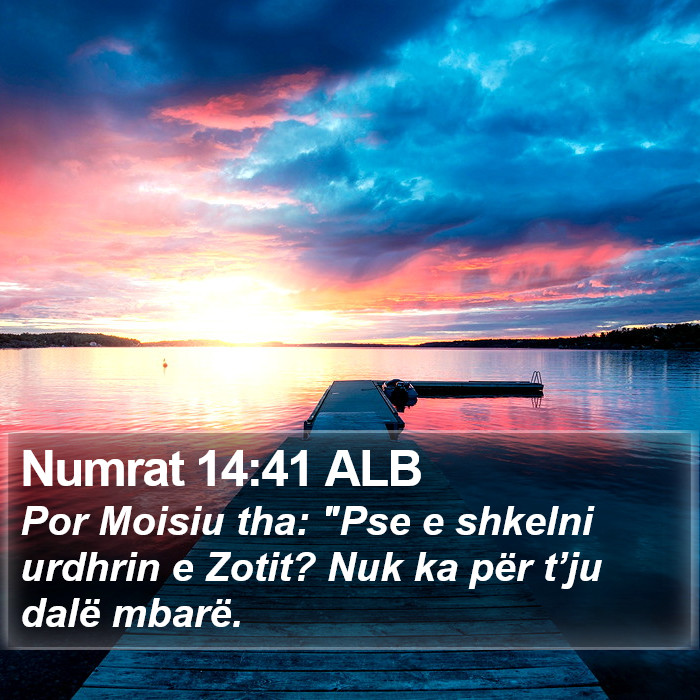 Numrat 14:41 ALB Bible Study