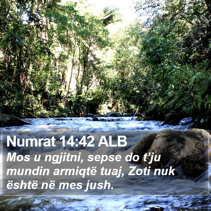 Numrat 14:42 ALB Bible Study