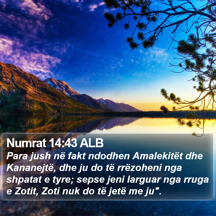 Numrat 14:43 ALB Bible Study