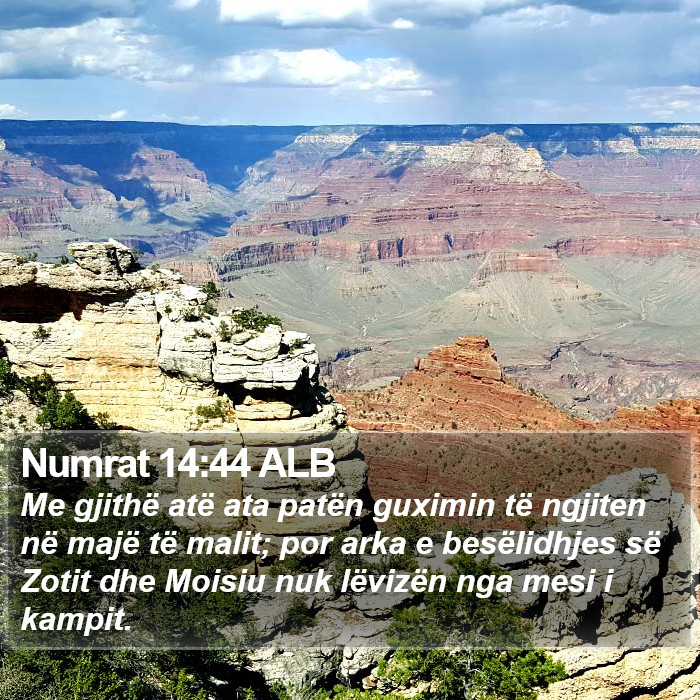 Numrat 14:44 ALB Bible Study