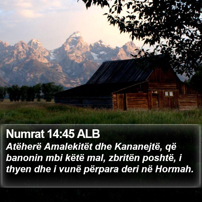 Numrat 14:45 ALB Bible Study