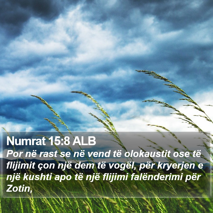 Numrat 15:8 ALB Bible Study