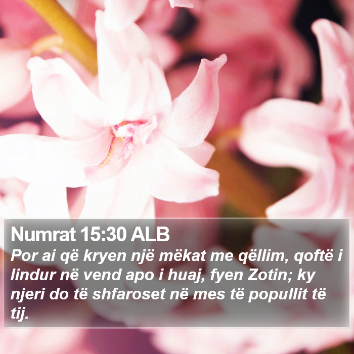 Numrat 15:30 ALB Bible Study