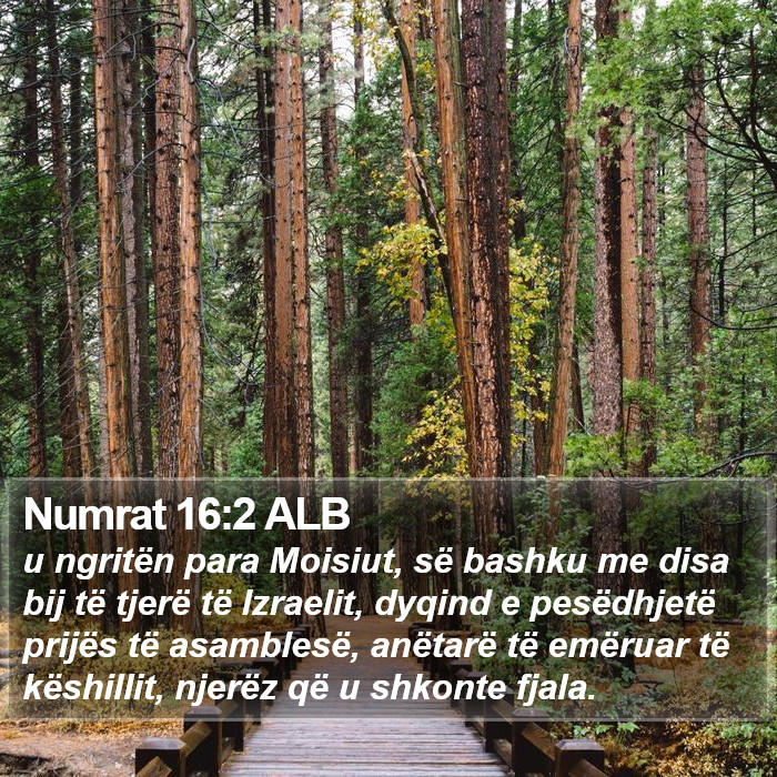 Numrat 16:2 ALB Bible Study