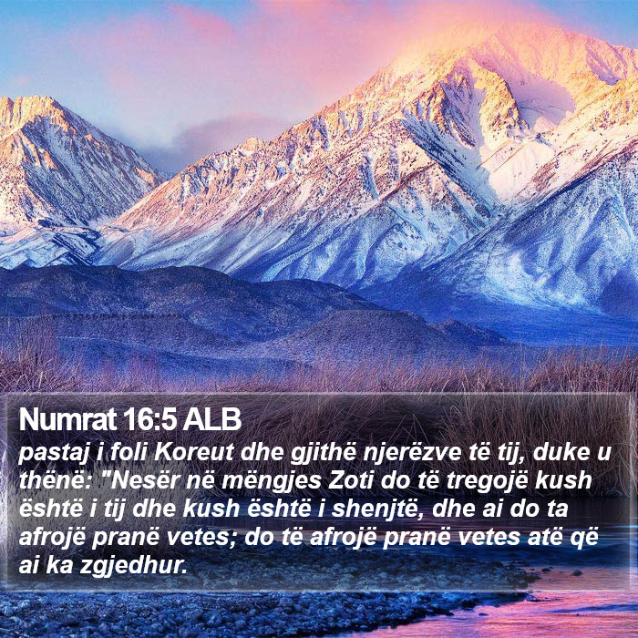 Numrat 16:5 ALB Bible Study