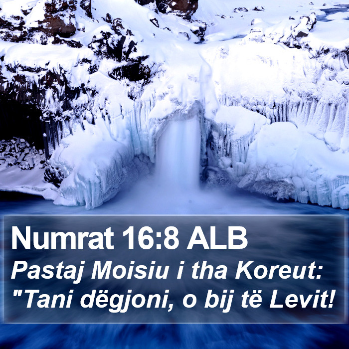 Numrat 16:8 ALB Bible Study