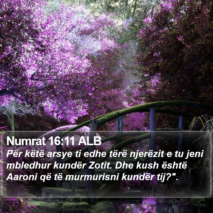 Numrat 16:11 ALB Bible Study