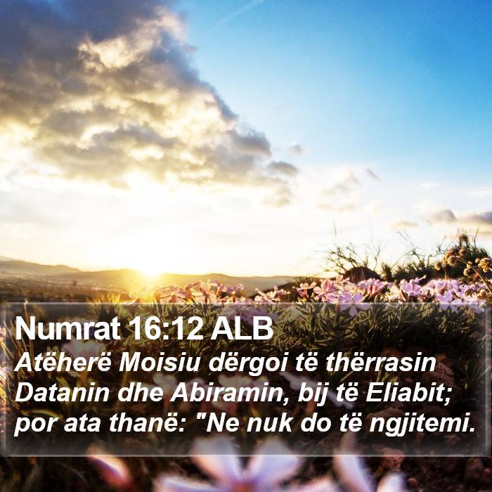 Numrat 16:12 ALB Bible Study