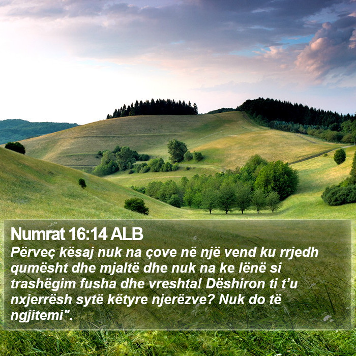 Numrat 16:14 ALB Bible Study