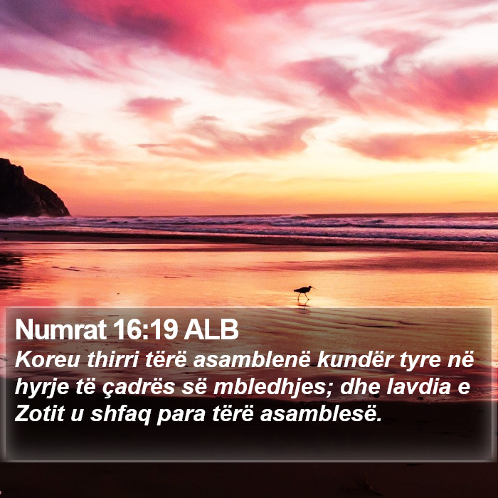 Numrat 16:19 ALB Bible Study