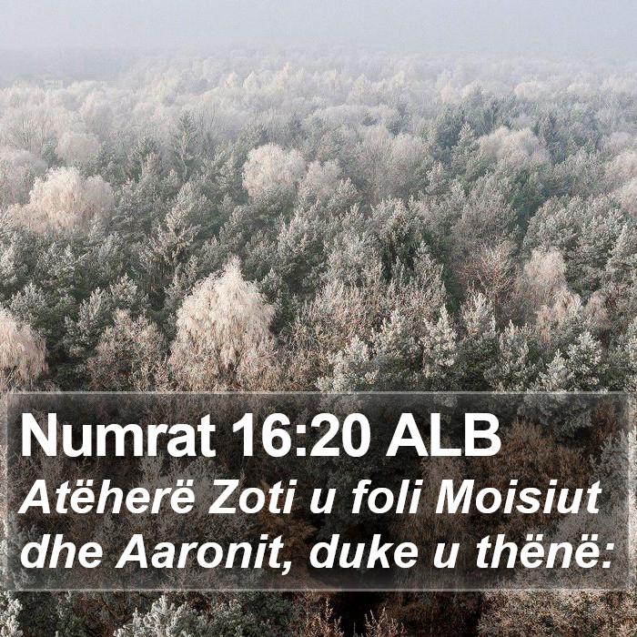 Numrat 16:20 ALB Bible Study