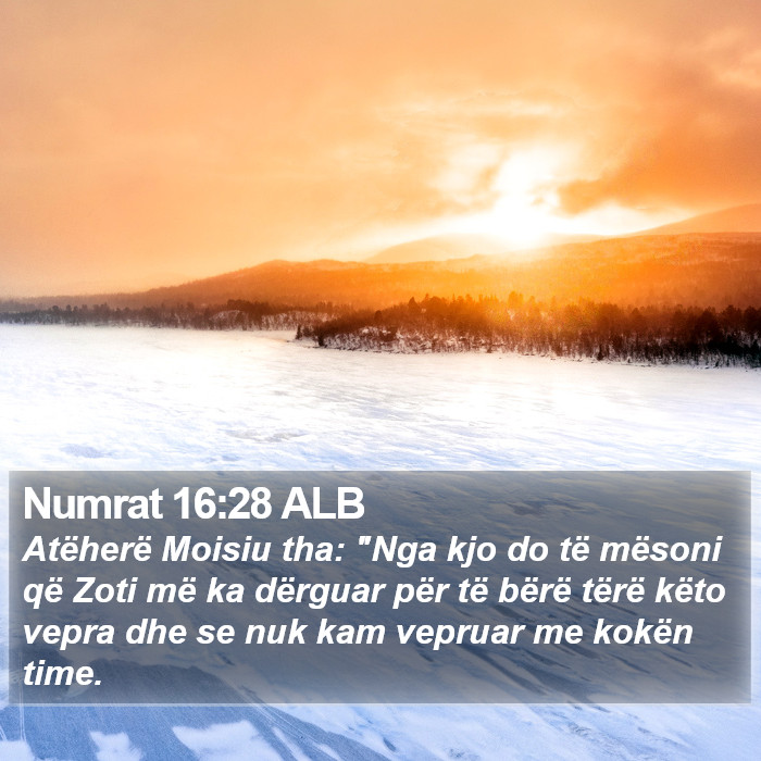 Numrat 16:28 ALB Bible Study