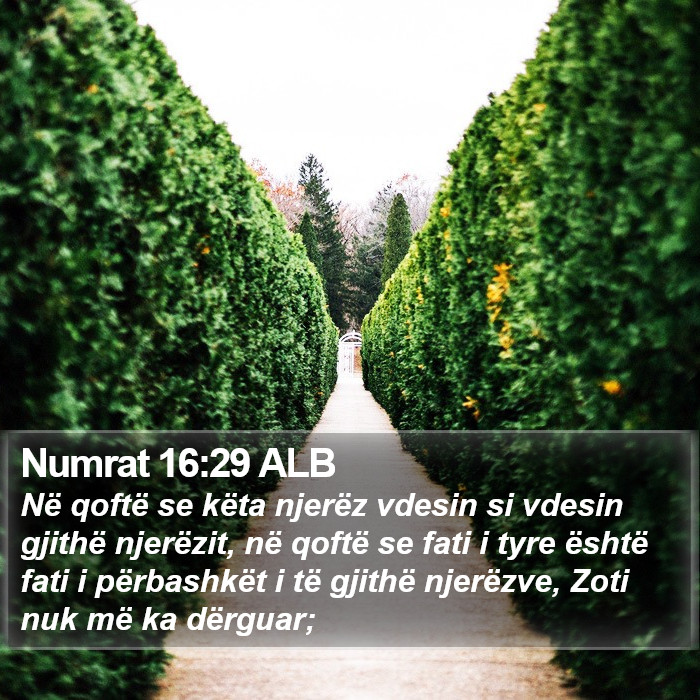 Numrat 16:29 ALB Bible Study