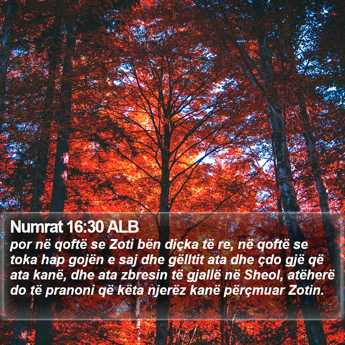 Numrat 16:30 ALB Bible Study