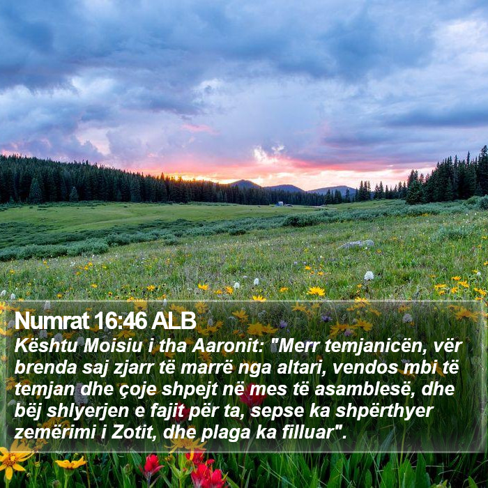 Numrat 16:46 ALB Bible Study