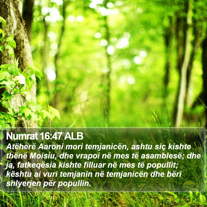 Numrat 16:47 ALB Bible Study