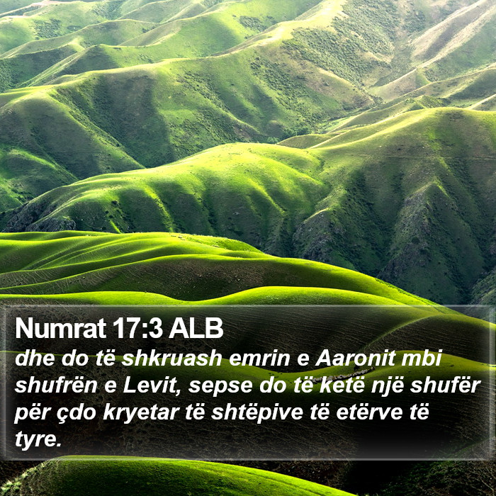 Numrat 17:3 ALB Bible Study