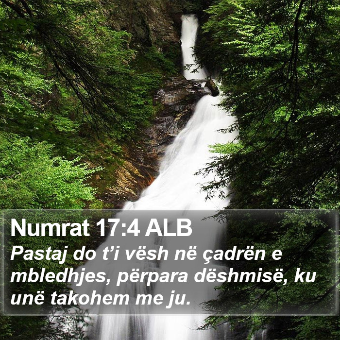 Numrat 17:4 ALB Bible Study