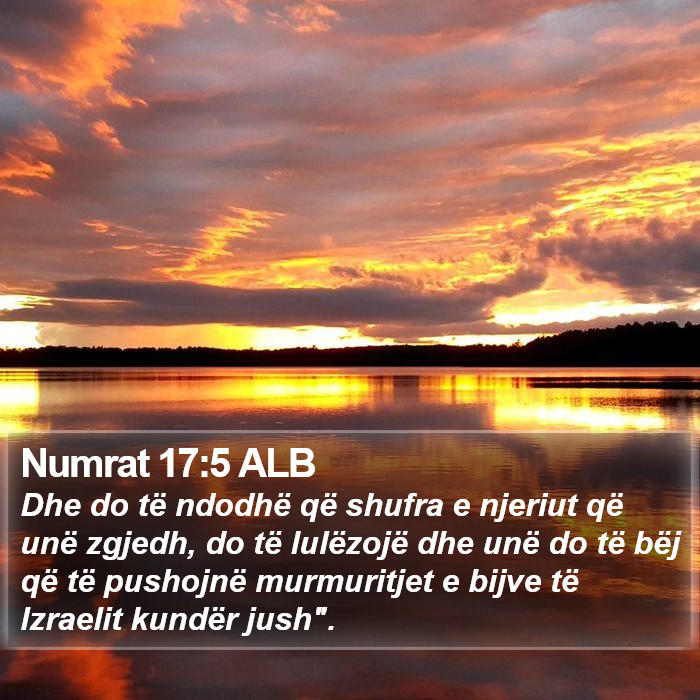 Numrat 17:5 ALB Bible Study