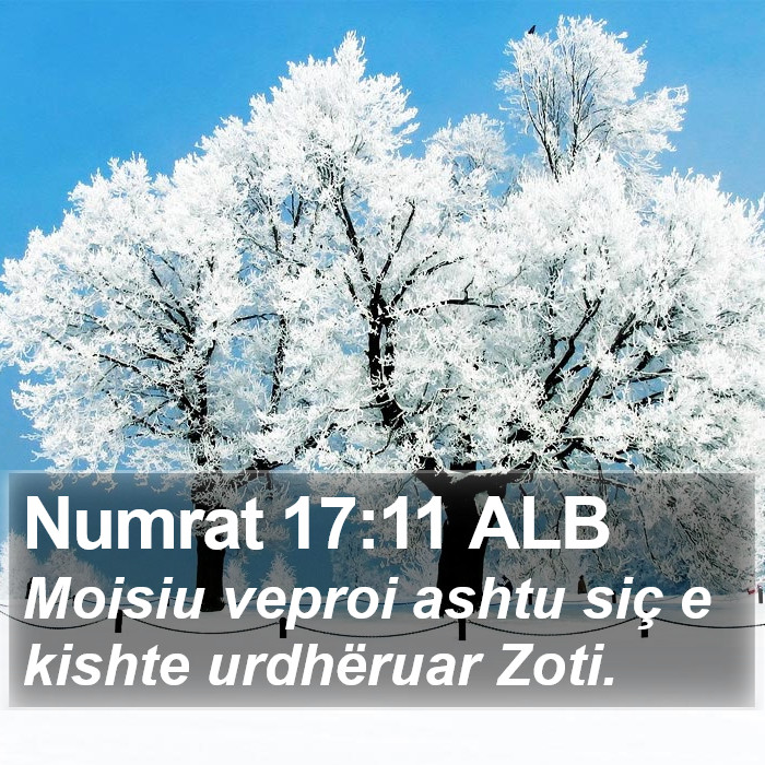 Numrat 17:11 ALB Bible Study