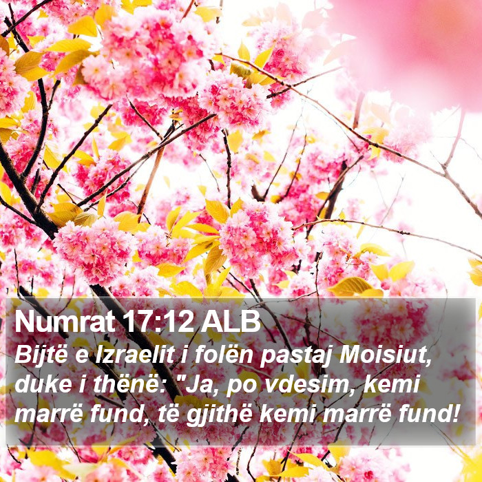 Numrat 17:12 ALB Bible Study