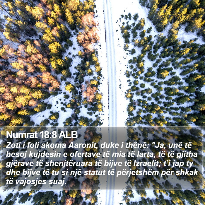 Numrat 18:8 ALB Bible Study