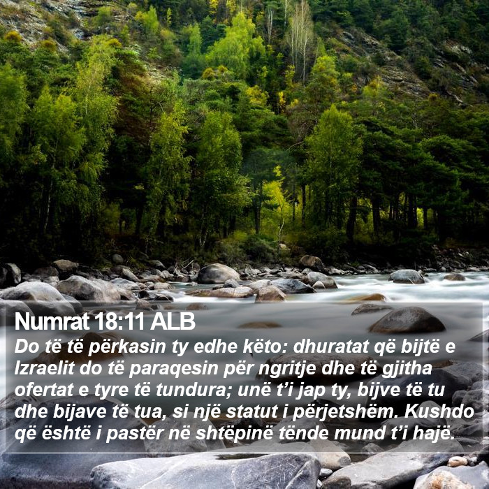 Numrat 18:11 ALB Bible Study