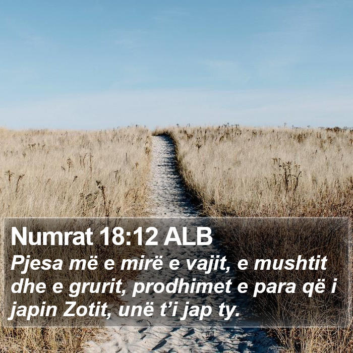 Numrat 18:12 ALB Bible Study