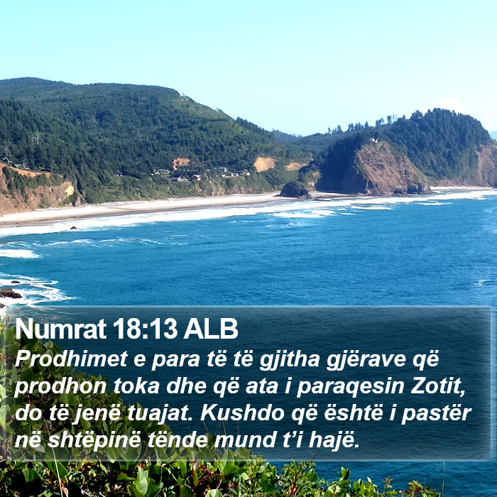 Numrat 18:13 ALB Bible Study