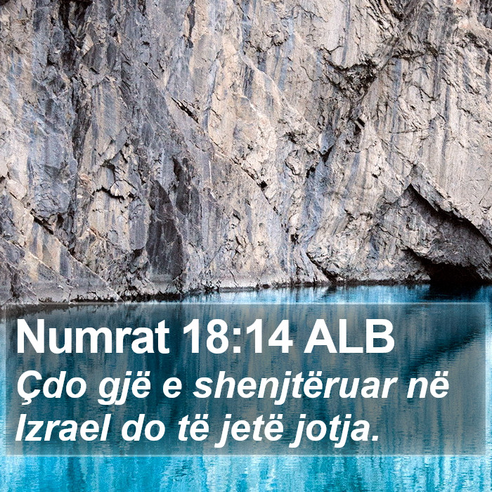 Numrat 18:14 ALB Bible Study