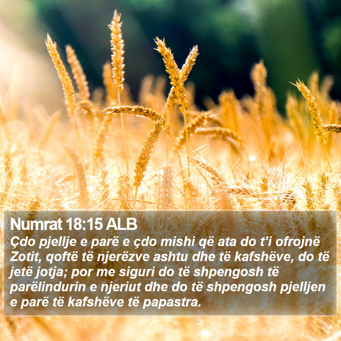 Numrat 18:15 ALB Bible Study