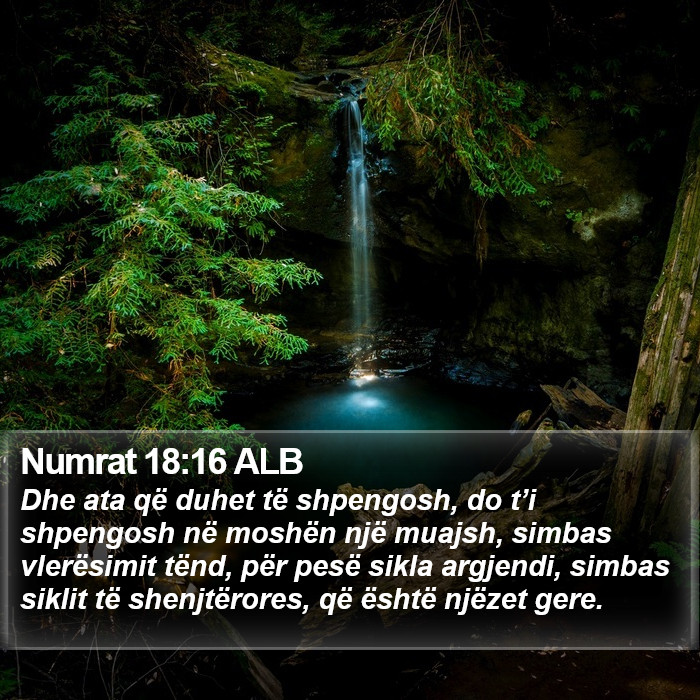 Numrat 18:16 ALB Bible Study