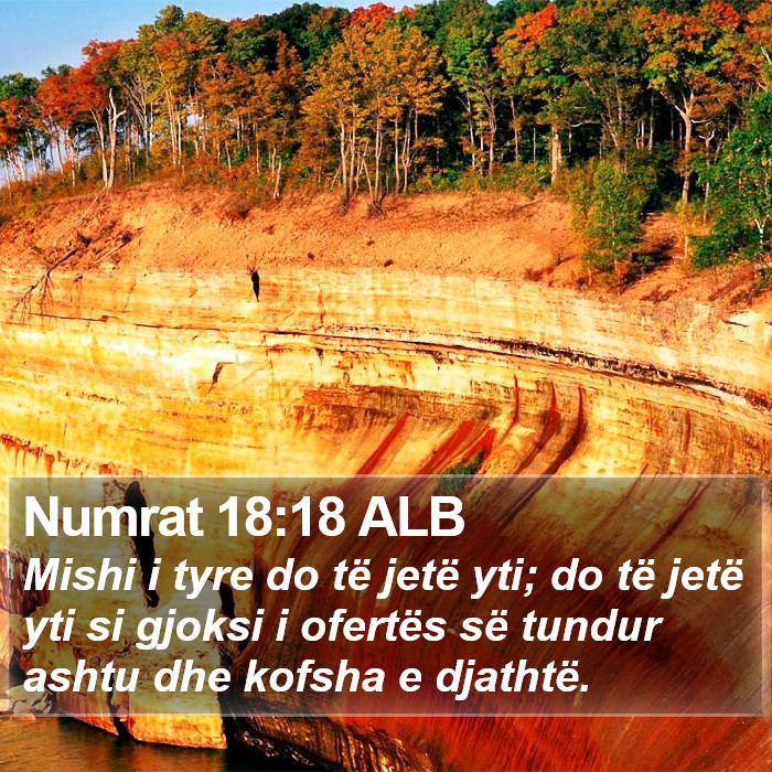 Numrat 18:18 ALB Bible Study