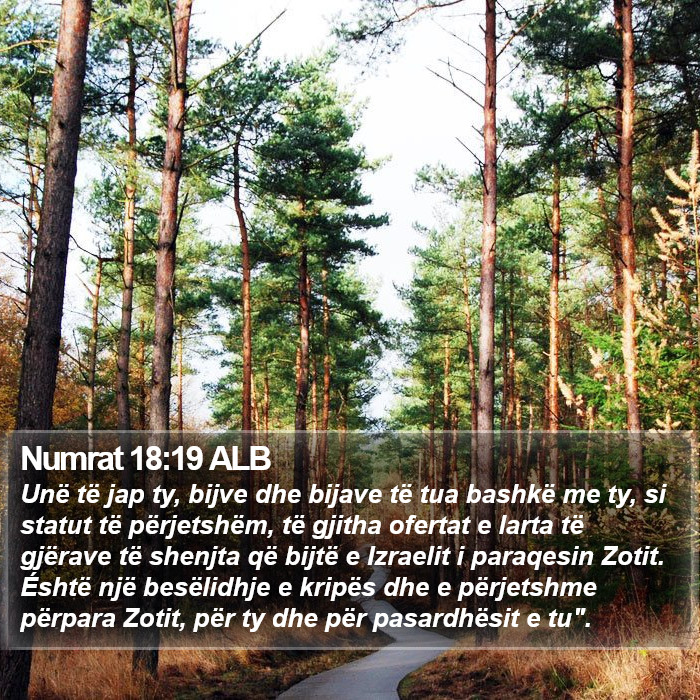 Numrat 18:19 ALB Bible Study