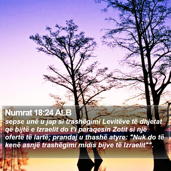 Numrat 18:24 ALB Bible Study