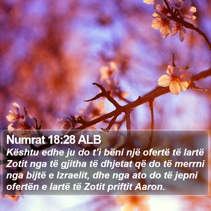 Numrat 18:28 ALB Bible Study