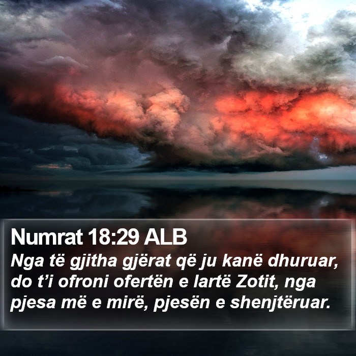 Numrat 18:29 ALB Bible Study