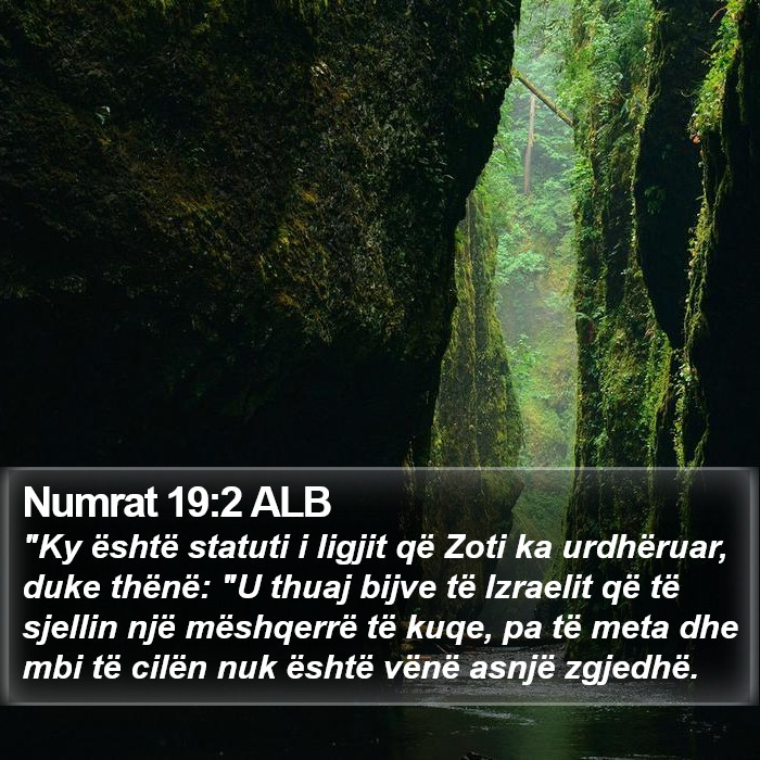 Numrat 19:2 ALB Bible Study