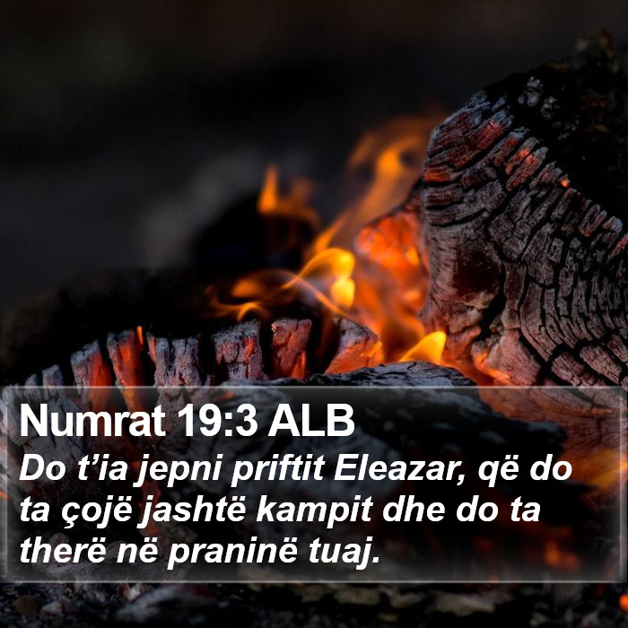 Numrat 19:3 ALB Bible Study