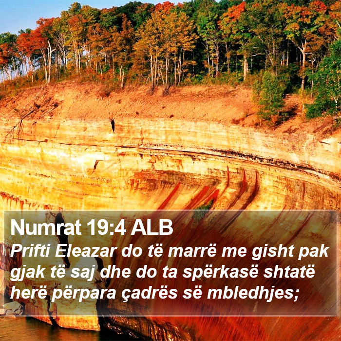 Numrat 19:4 ALB Bible Study