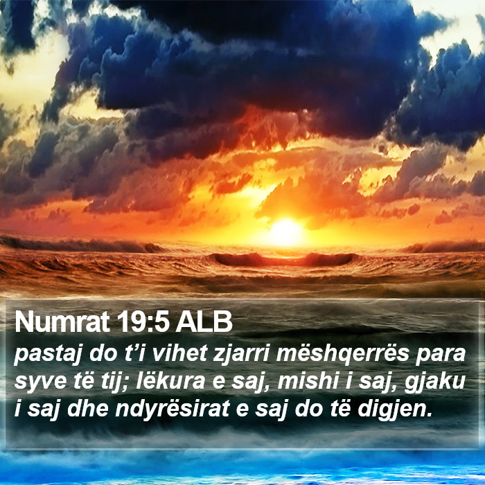 Numrat 19:5 ALB Bible Study