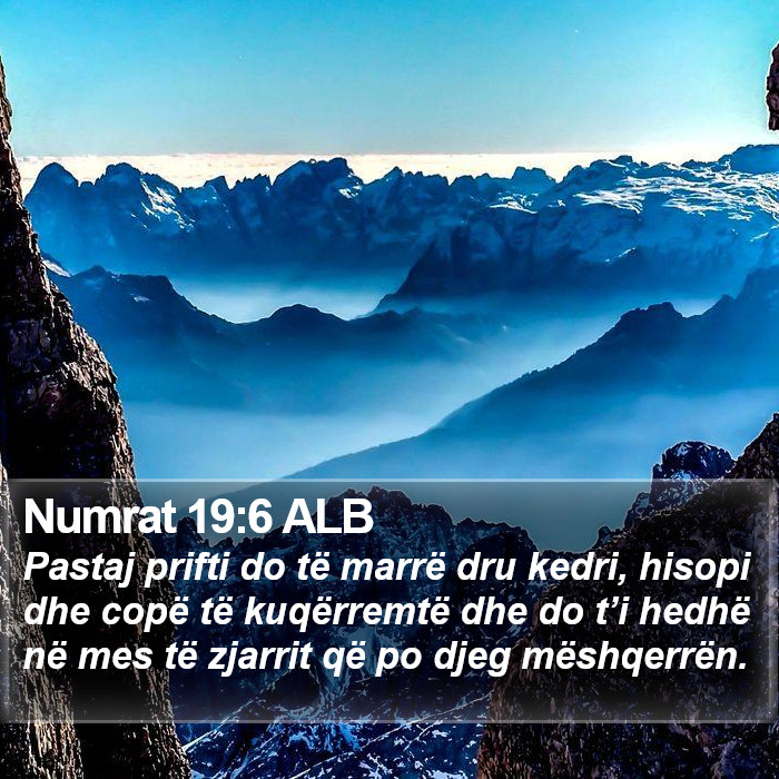 Numrat 19:6 ALB Bible Study