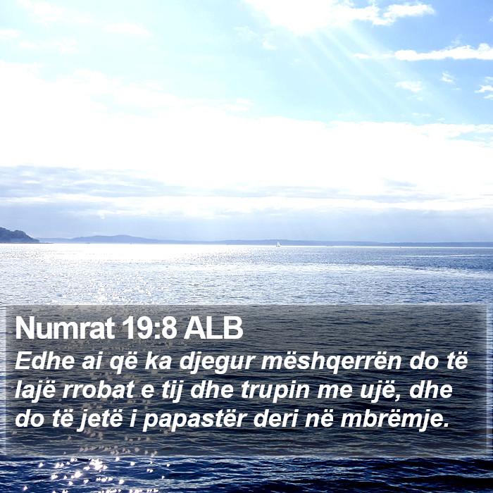 Numrat 19:8 ALB Bible Study