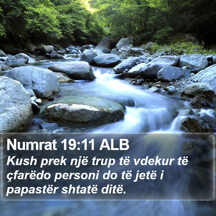 Numrat 19:11 ALB Bible Study