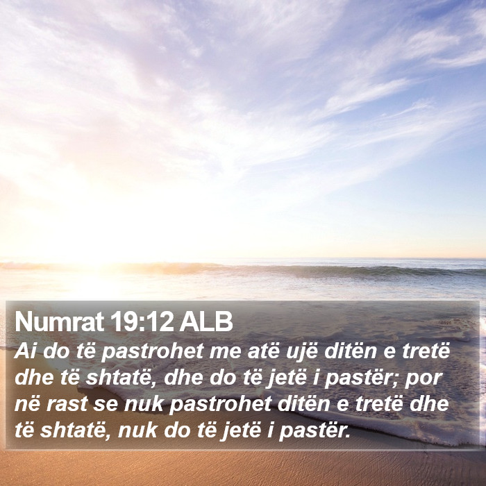 Numrat 19:12 ALB Bible Study