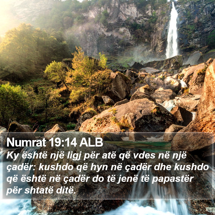 Numrat 19:14 ALB Bible Study