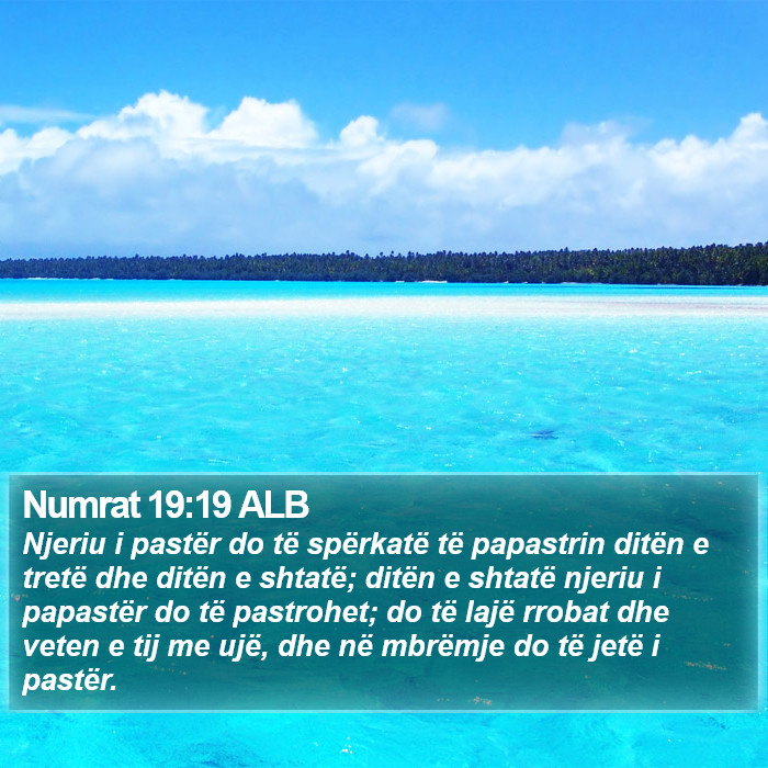 Numrat 19:19 ALB Bible Study