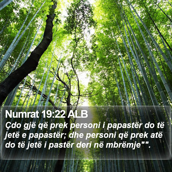 Numrat 19:22 ALB Bible Study