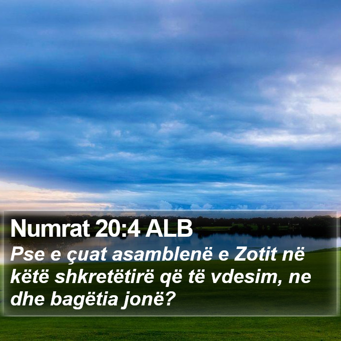 Numrat 20:4 ALB Bible Study