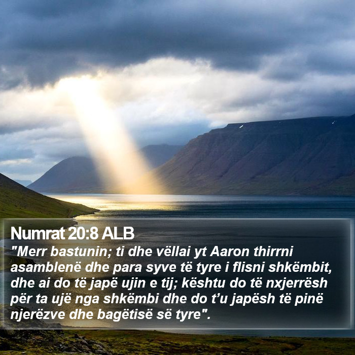 Numrat 20:8 ALB Bible Study